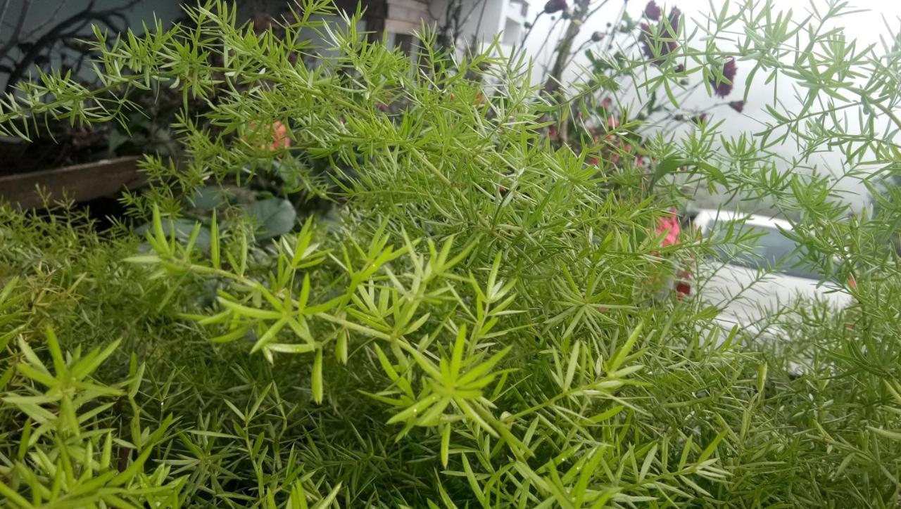 Ezhil Residency 호텔 코다이카날 외부 사진